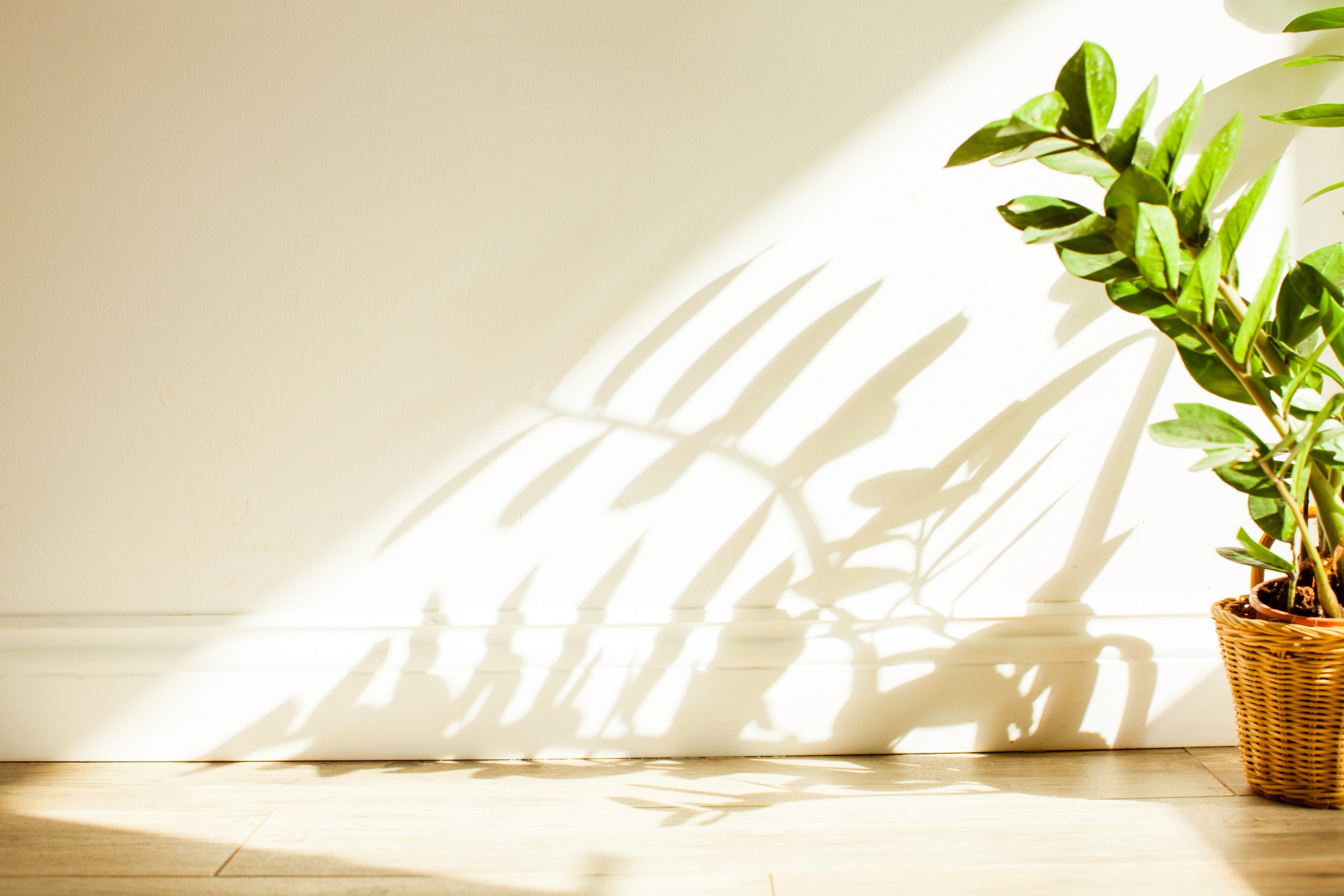 The Importance of Natural Lighting