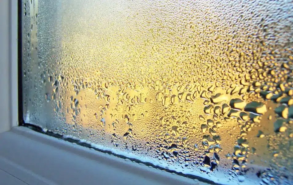 Why Do My New Windows Have Condensation on the Outside?